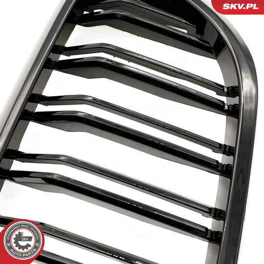 66SKV193 - Radiator Grille 