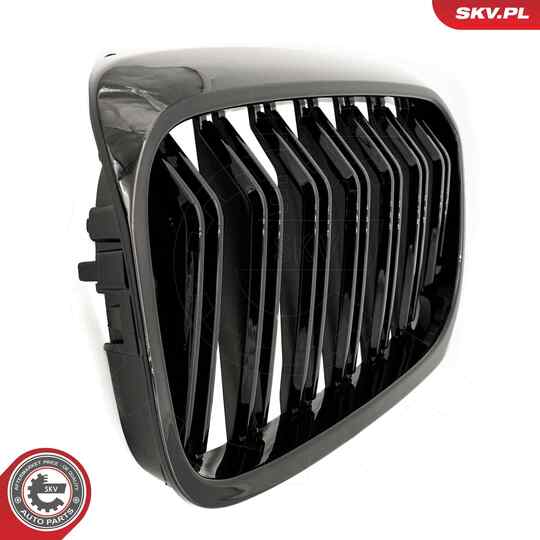 66SKV193 - Radiator Grille 