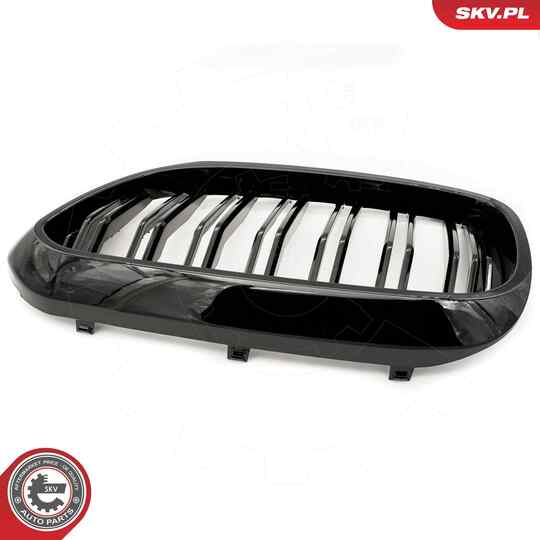 66SKV193 - Radiator Grille 