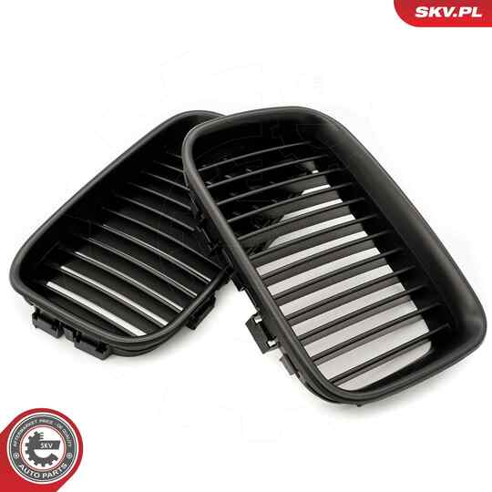 66SKV046 - Radiator Grille 