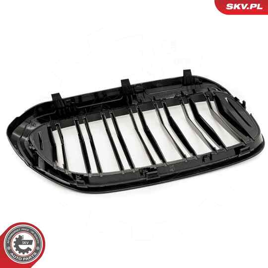 66SKV193 - Radiator Grille 