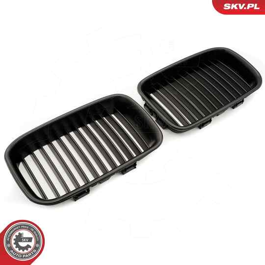 66SKV046 - Radiator Grille 