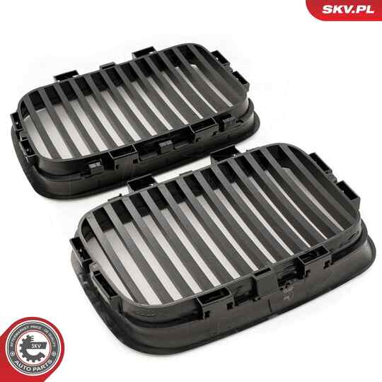 66SKV046 - Radiator Grille 