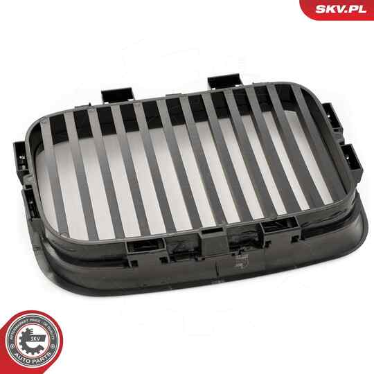 66SKV046 - Radiator Grille 