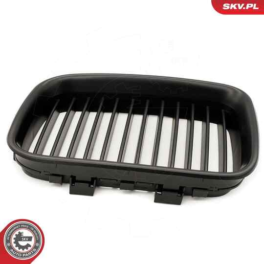 66SKV046 - Radiator Grille 