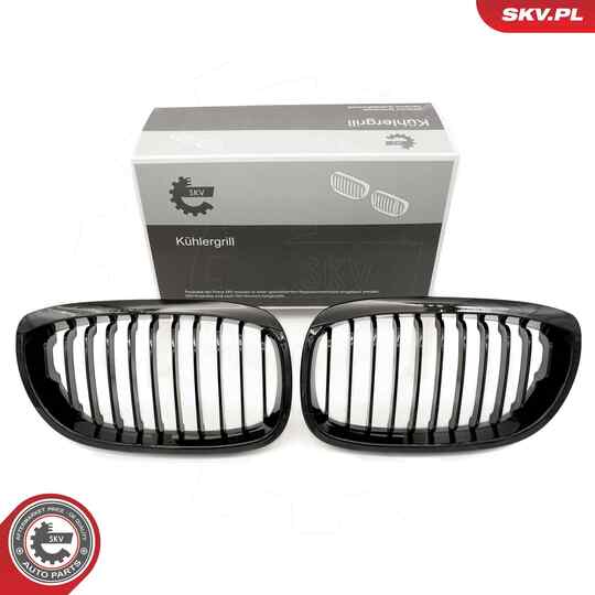 66SKV068 - Radiator Grille 