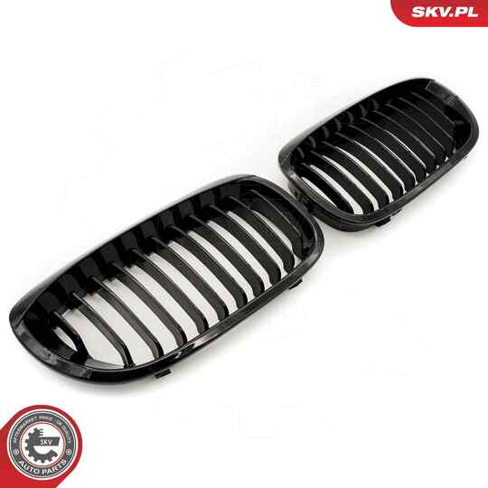 66SKV068 - Radiator Grille 