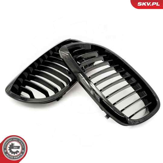 66SKV068 - Radiator Grille 