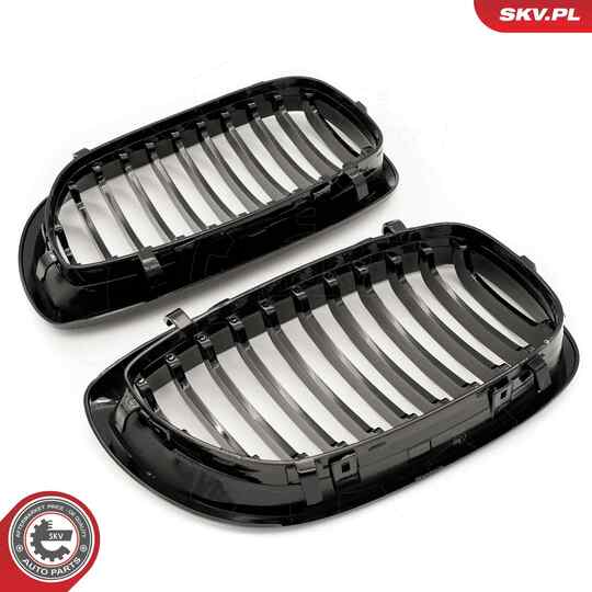 66SKV068 - Radiator Grille 