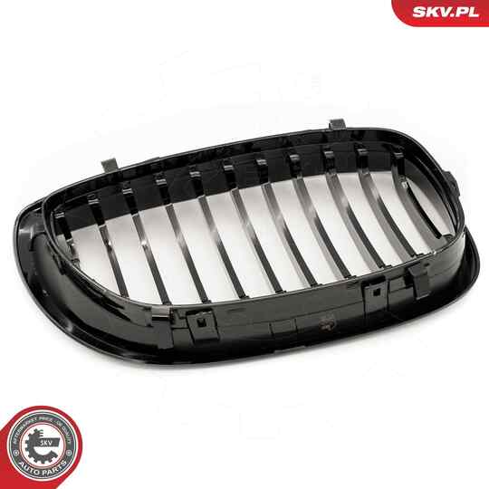 66SKV068 - Radiator Grille 