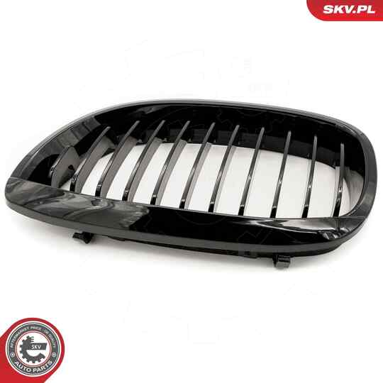 66SKV068 - Radiator Grille 