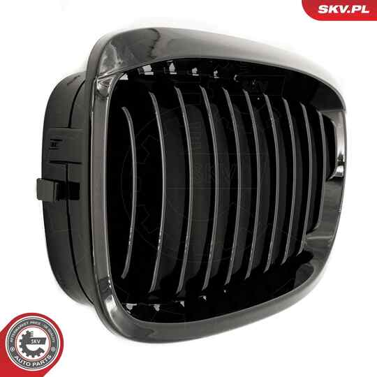 66SKV068 - Radiator Grille 