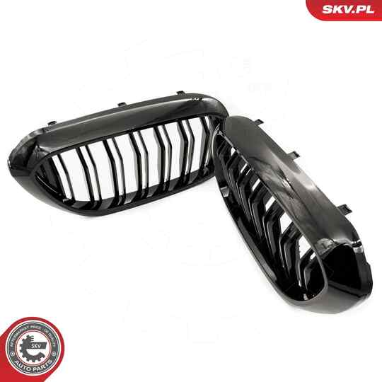 66SKV193 - Radiator Grille 