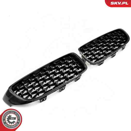 66SKV154 - Radiator Grille 