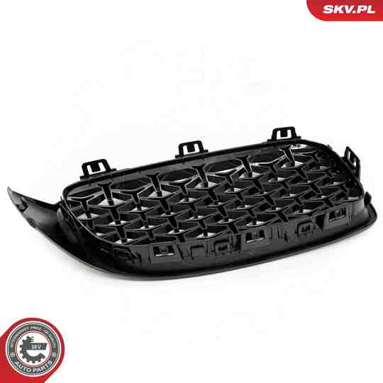 66SKV154 - Radiator Grille 