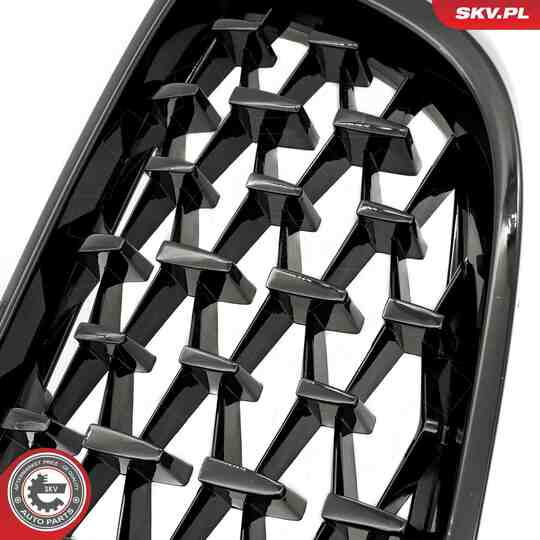 66SKV154 - Radiator Grille 