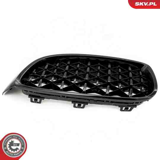 66SKV154 - Radiator Grille 