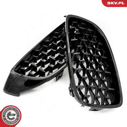 66SKV154 - Radiator Grille 