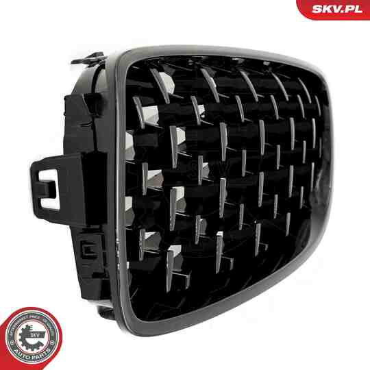 66SKV154 - Radiator Grille 