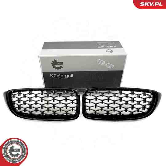 66SKV154 - Radiator Grille 