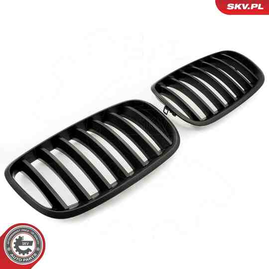 66SKV284 - Radiator Grille 