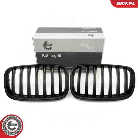 66SKV284 - Radiator Grille 