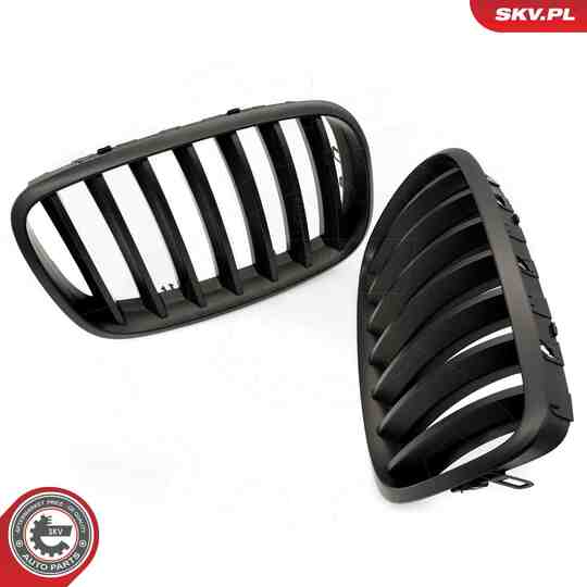 66SKV284 - Radiator Grille 