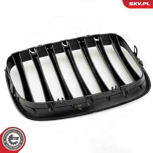 66SKV284 - Radiator Grille 