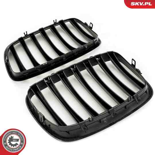 66SKV284 - Radiator Grille 