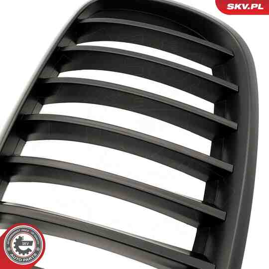 66SKV284 - Radiator Grille 