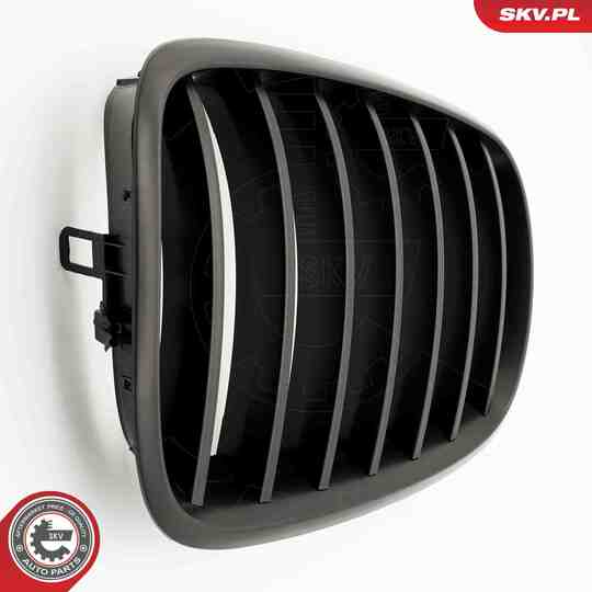 66SKV284 - Radiator Grille 