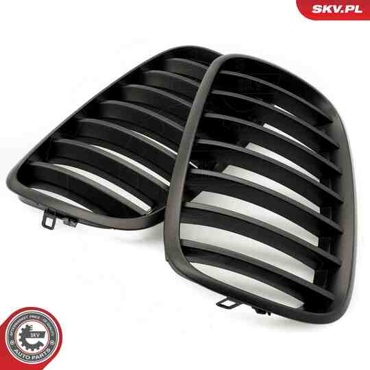 66SKV284 - Radiator Grille 