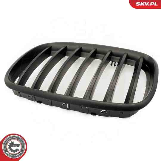 66SKV284 - Radiator Grille 