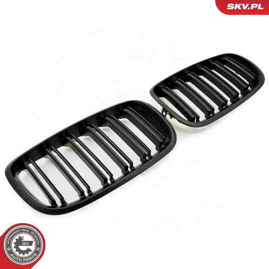 66SKV288 - Radiator Grille 