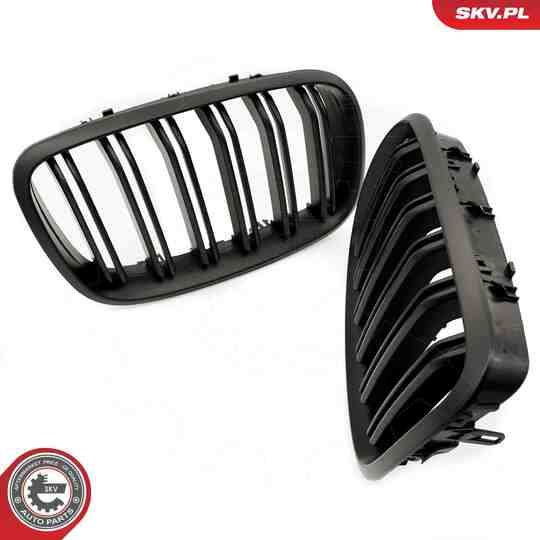 66SKV288 - Radiator Grille 