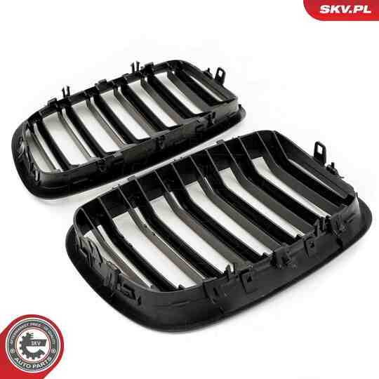 66SKV288 - Radiator Grille 