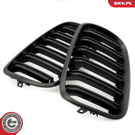 66SKV288 - Radiator Grille 