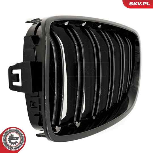 66SKV150 - Radiator Grille 