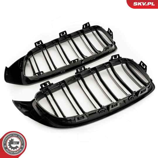 66SKV150 - Radiator Grille 