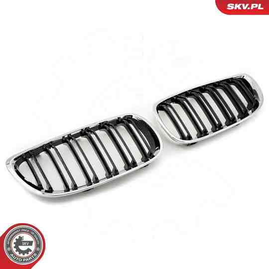 66SKV110 - Radiator Grille 