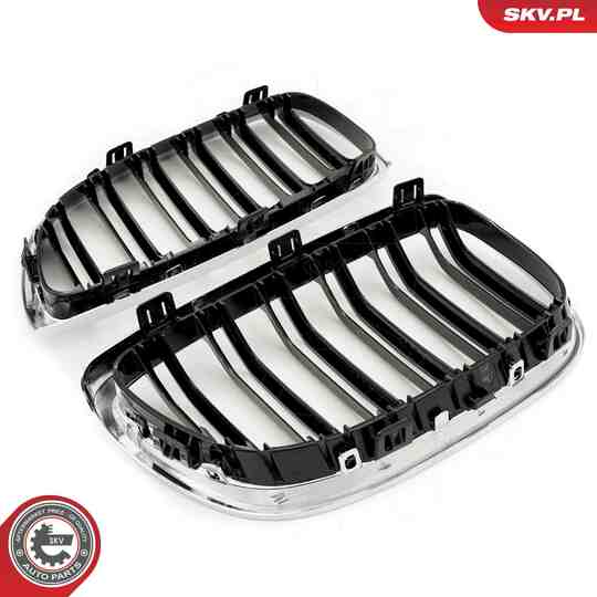 66SKV110 - Radiator Grille 