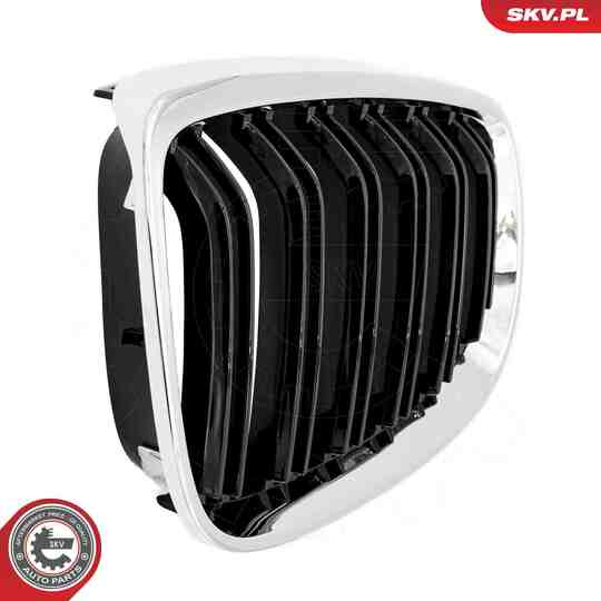 66SKV110 - Radiator Grille 