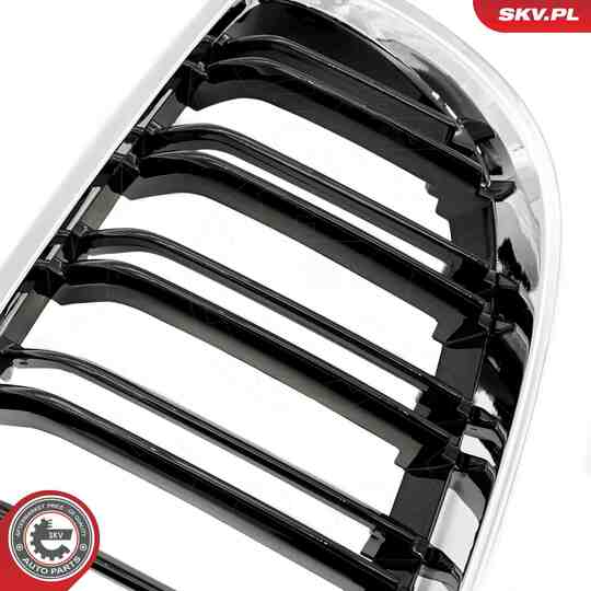 66SKV110 - Radiator Grille 