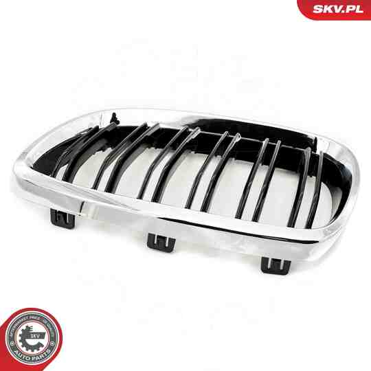 66SKV110 - Radiator Grille 