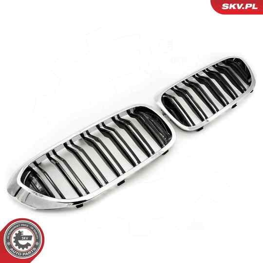 66SKV196 - Radiator Grille 