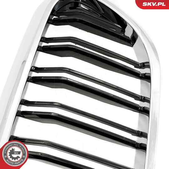 66SKV196 - Radiator Grille 