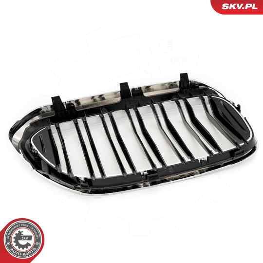 66SKV196 - Radiator Grille 