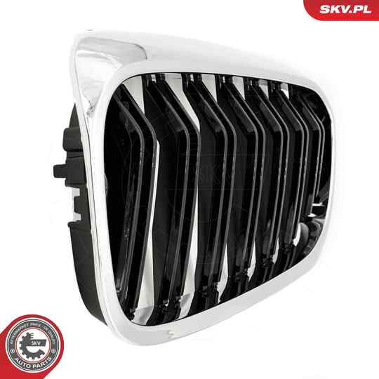 66SKV196 - Radiator Grille 