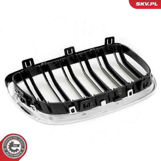 66SKV110 - Radiator Grille 