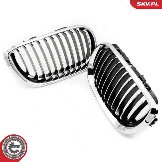 66SKV078 - Radiator Grille 